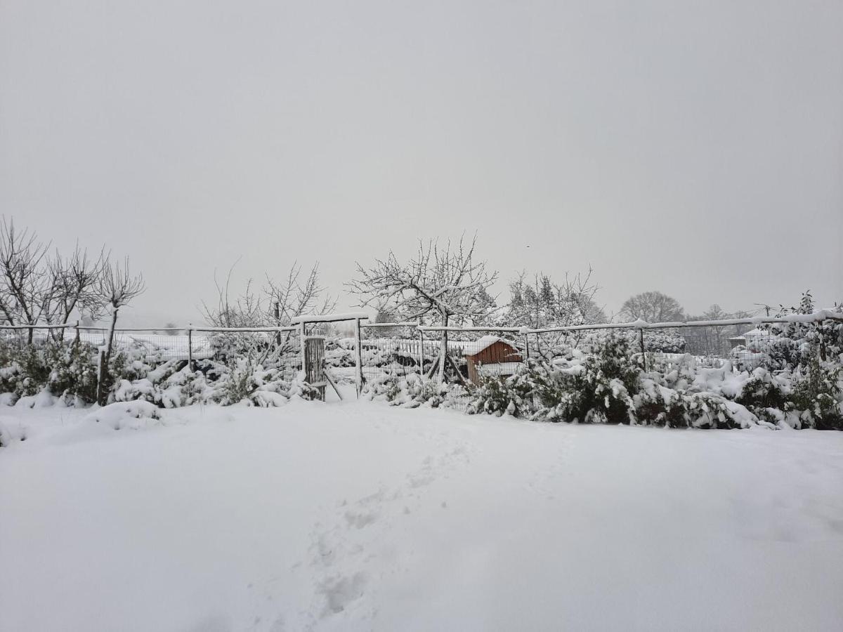 Gorgeous Holiday Home In Stoumont With Garden Esterno foto