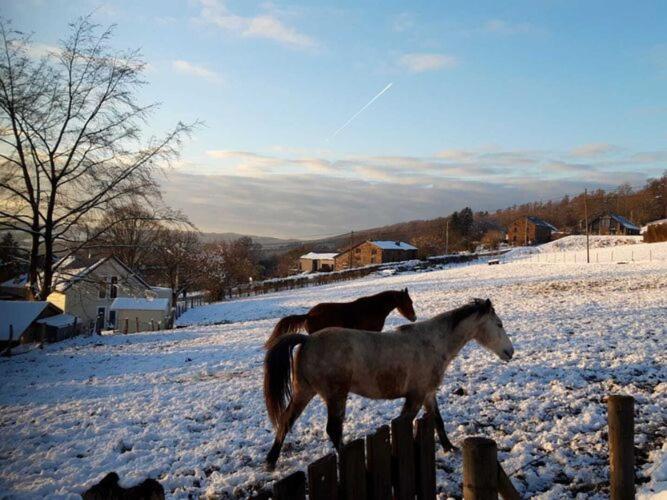Gorgeous Holiday Home In Stoumont With Garden Esterno foto
